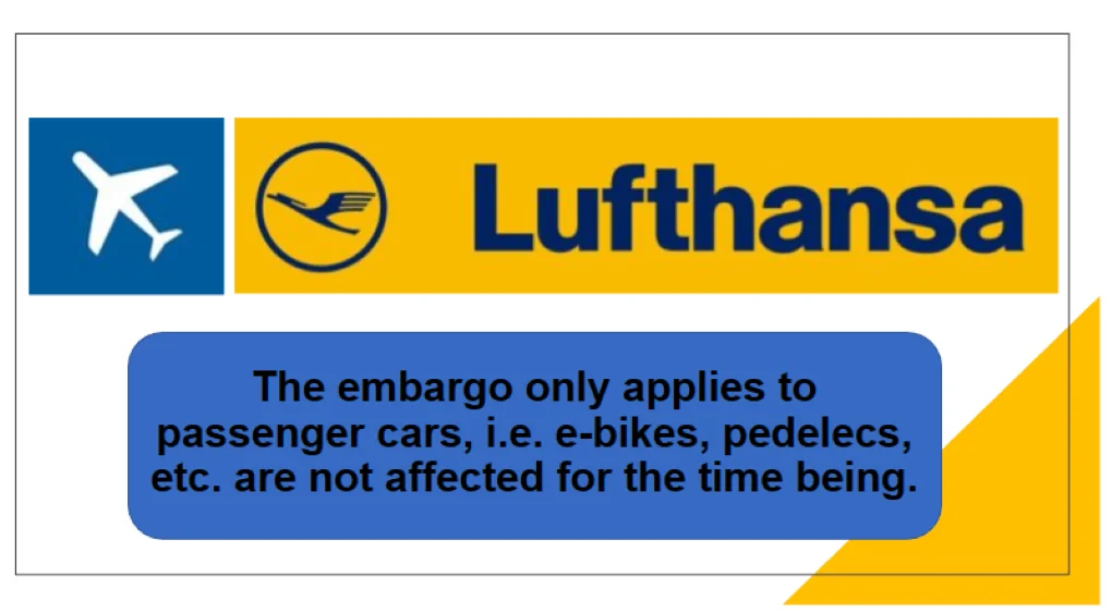 Lithium Battery Service